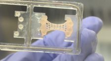 'Pumping heart patch' ready for human use