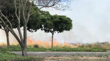 Vegetation fire along Constitution contained, per police