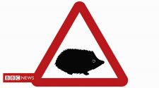 Hedgehog sign warns drivers of small wildlife hazards