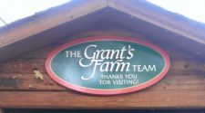 Health officials investigating after several Grant’s Farm visitors get sick | News Headlines