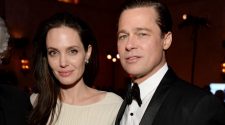 Brad Pitt and Angelina Jolie's legacy is a record breaking rosé wine