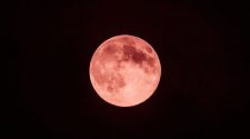 Strawberry Moon 2019: Best times to watch and a special viewing bonus