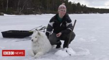 The women fighting for Lapland