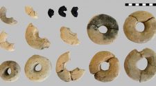 World’s first 'Cheerios' found: 3,000-year-old ‘cereal rings’ discovered in ancient fort