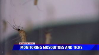 Health department monitoring mosquitoes & ticks
