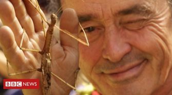 Obituary: Georges Brossard, the man who stuck up for insects