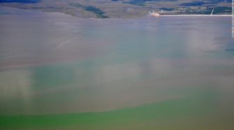 A toxic algae bloom can be seen from the air along the Mississippi coast on June 25, 2019.