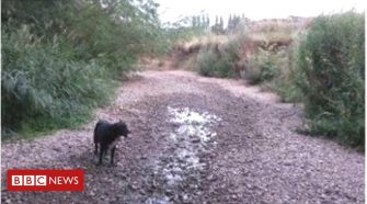 River Stour runs dry in drought in Constable Country