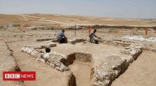 Israel mosque find: Archaeologists unearth 1,200-year-old ruins in desert