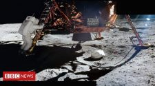 How Apollo 11 brought humanity together