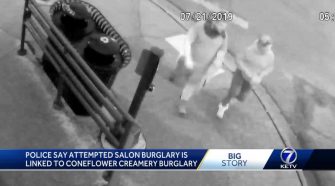 Coneflower burglary related to attempted salon break-in