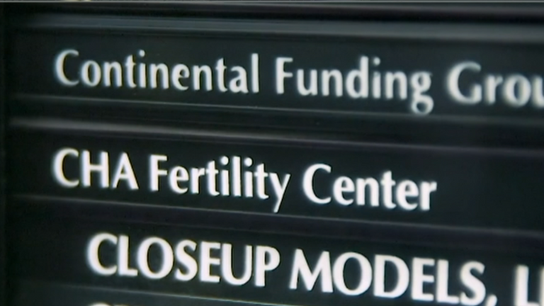 The fertility clinic which allegedly mixed up embryos is called CHA