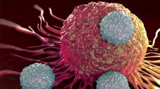Bacteria Act as Trojan Horse to Deliver Cancer Immunotherapy