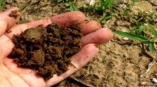 Free soil workshop August 9 will introduce ground-breaking data technology