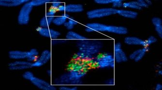 Super-resolution Microscopy Illuminates Inter-chromosome Connections
