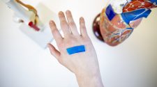 New bandage technology reduces scarring thanks to the power of nature – BGR