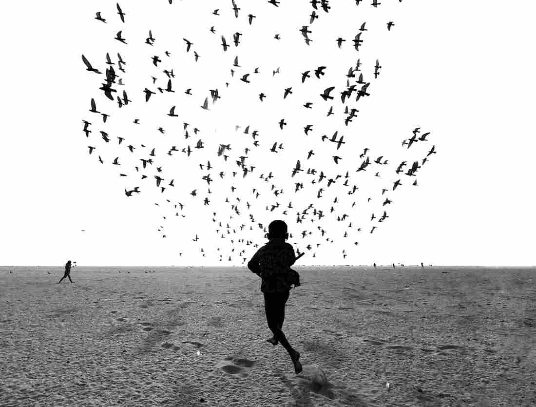 Taken in Tamil Nadu, India, the picture is part of a series that the photographer titled: 'We Run, You Fly'.