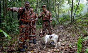 Members of a search team in the forest near the Dusun resort where the Quoirins have been staying