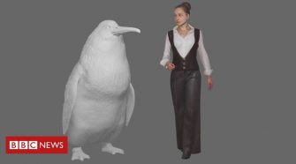 'Human-sized penguin' lived in New Zealand