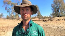 Record-breaking dry stretch in Queensland's Southern Downs after 70 days without rain