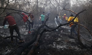 Volunteers work to put out a forest fire in Aguas Calientes, on the outskirts of Robore, Bolivia, 24 August 2019.