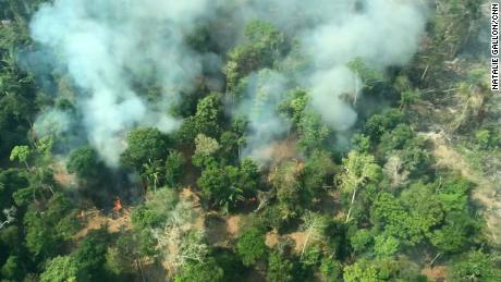 Flying above the Amazon fires, &#39;all you can see is death&#39;