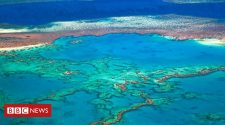 Great Barrier Reef outlook very poor, Australia says