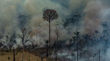 Brazil Military Mobilizes to Fight Amazon Fires, and Restore ‘Positive Perception’