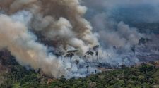 Brazil rejects G7 aid to fight Amazon fires and says nations should 'reforest Europe' instead