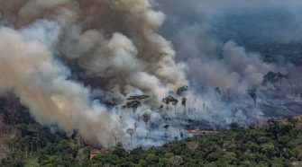 Brazil rejects G7 aid to fight Amazon fires and says nations should 'reforest Europe' instead
