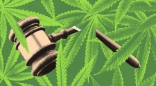 How legalizing hemp accidentally helped marijuana suspects