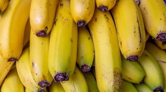 AI Tool Helps Protect the Much-loved Banana