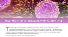 Major Milestones in Therapeutic Antibody Engineering