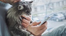 Why the Pet Technology Boom is a Precursor to IoT
