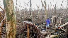 Bahamas death toll rises as 70,000 are left homeless from Hurricane Dorian