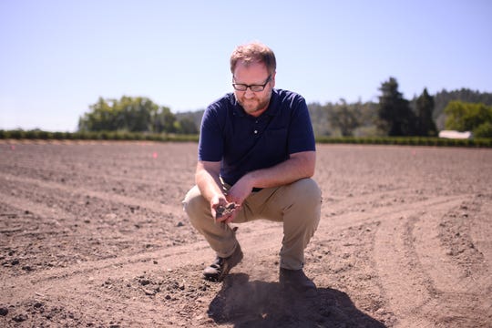 Dan Petroski, winemaker with Larkmead Vineyards in Napa Valley, samples the soil at a research block where he and his team are planting experimental wine crops with an eye toward seeing what varietals may be better suited to the higher temperatures brought about by climate change.
