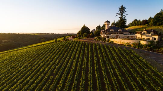Aerial view over Willamette Valley Vineyards estate vineyard and tasting room, Willamette Valley, Oregon. The winery has started to look at higher elevations to plant in reaction to warming temperatures related to climate change.
