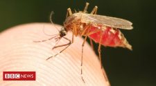 Defeat malaria in a generation - here's how