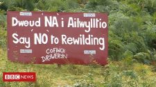 Farmers 'misunderstand' Wales rewilding project