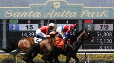 Another Horse Euthanized After Breaking Legs at Santa Anita Park in Arcadia