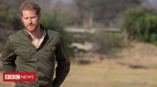 Prince Harry: Protecting nature doesn't make me a hippy