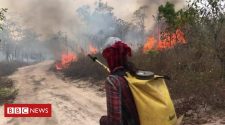 Amazon fires: The volunteer firefighters battling to save Brazil’s rainforest