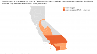 Invasive Mosquitoes Plunge Deeper Into California