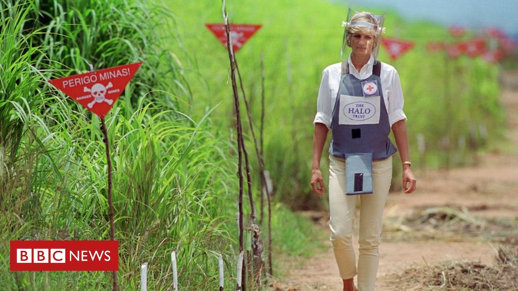 Prince Harry in southern Africa: Where are the world's landmines?