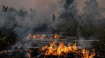 As Amazon Smolders, Indonesia Fires Choke the Other Side of the World