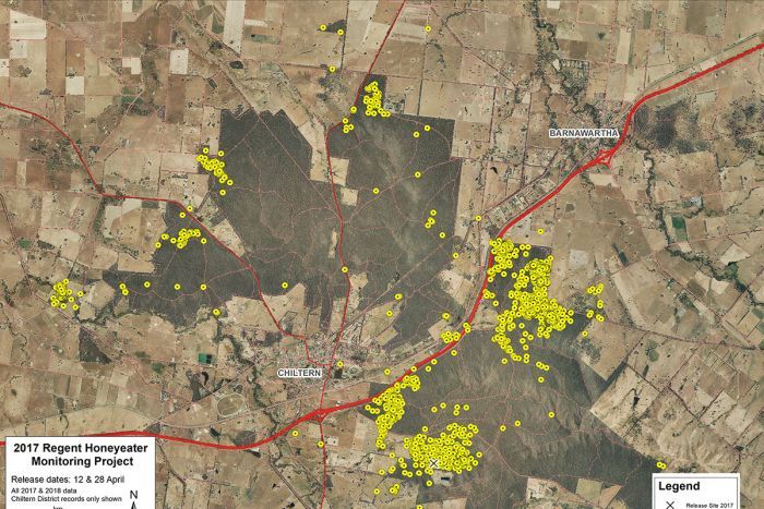 Satellite map of rural area with yellow dots depicting where birds where observed.