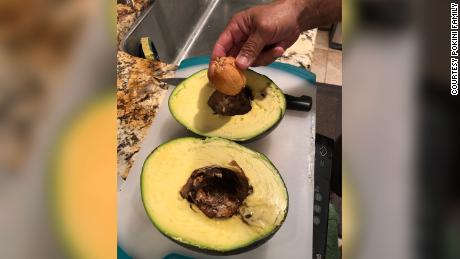 The massive avocado before it was turned into guacamole.