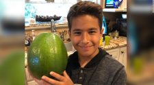 A 5.6 pound avocado set a new world record and it made enough guacamole for 20 people
