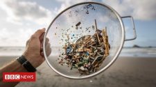 Microplastics: Seeking the 'plastic score' of the food on our plates