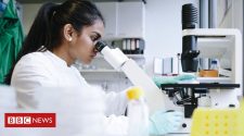 Brexit hits UK science funding and workforce